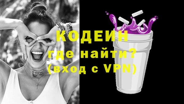 apvp Вяземский