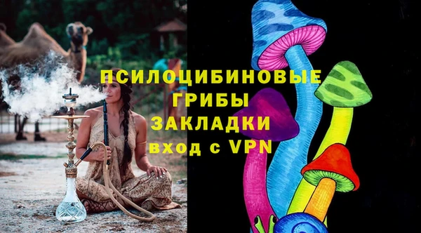 apvp Вяземский