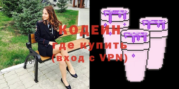 apvp Вяземский