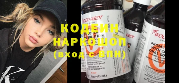 apvp Вяземский