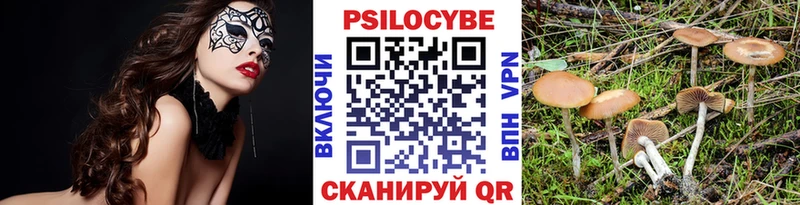 Псилоцибиновые грибы мухоморы  Саранск 